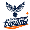 Baykalskiye Sokoly
