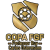 Copa FGF