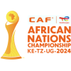 Чемпионат африканских наций
