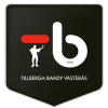 ТБ Вестерос