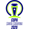 Copa Santa Catarina