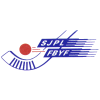 Кубок Финляндии