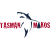 Тасман