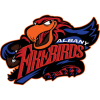 Albany Firebirds