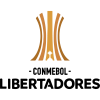Кубок Либертадорес