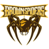 Brown Spiders