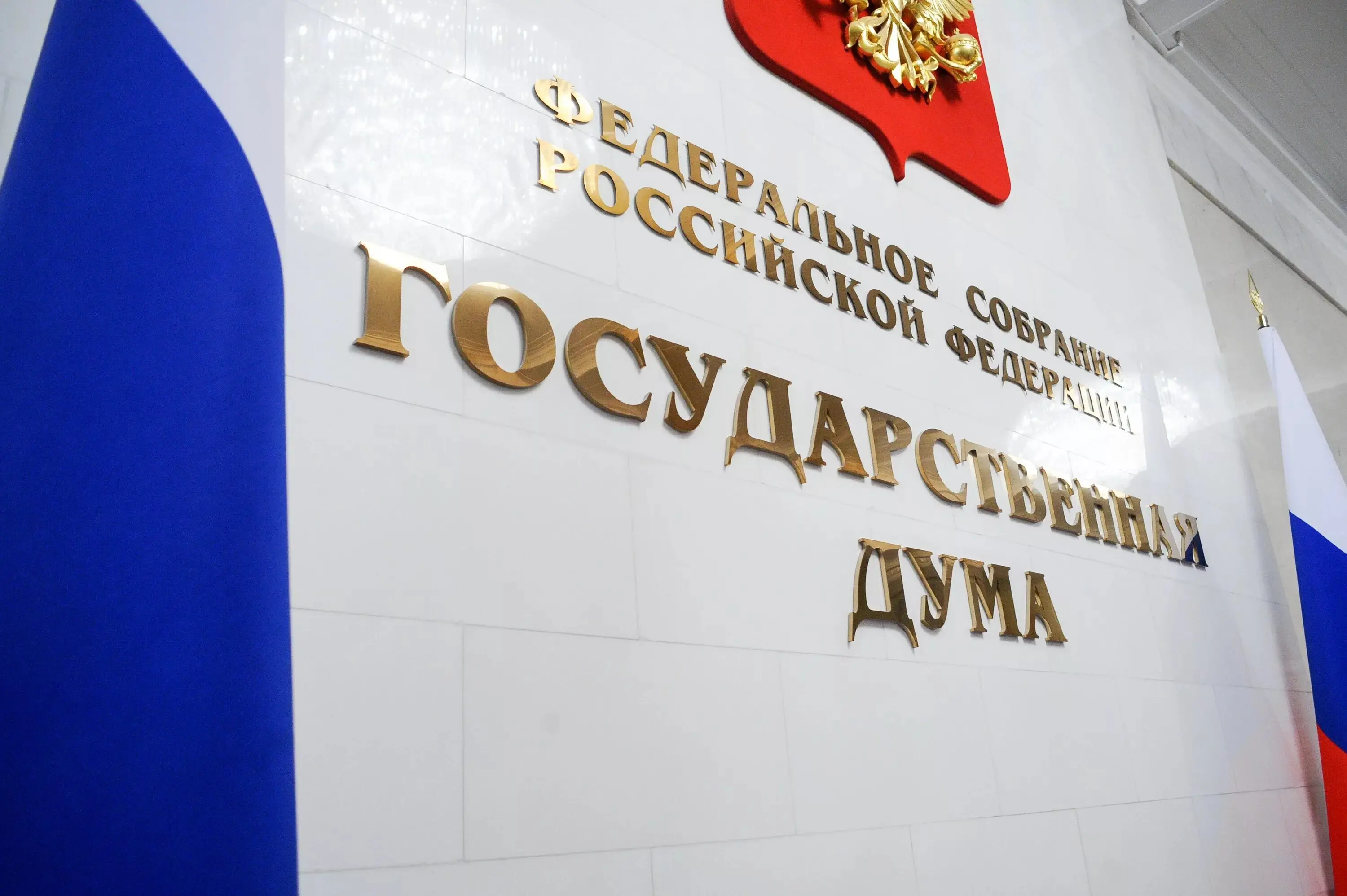 В Государственной Думе предложили ограничить участие мигрантов в нелегальных клубах смешанных единоборств (ММА).